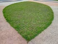 green grass on a paving block,