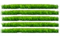Green grass, PNG transparent background
