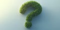A green grass question mark Royalty Free Stock Photo