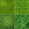 Green Grass Realistic Set Royalty Free Stock Photo