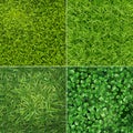 Green Grass Realistic Set Royalty Free Stock Photo