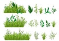 Green Grass Realistic Set Royalty Free Stock Photo