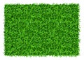 Green grass rectangle. Realistic lawn patch top view