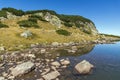 Green grass and reflection in small Lake, Rila Mountain Royalty Free Stock Photo