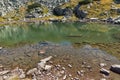 Green grass and reflection in small Lake, Rila Mountain Royalty Free Stock Photo