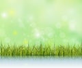 Green grass with reflection on water floor.Bokeh effect on light green and blue pastel color background Royalty Free Stock Photo