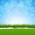 Green Grass And Ripped Paper Nature Background Royalty Free Stock Photo