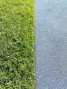 Green grass with rubber ground border