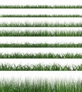 Green grass sample