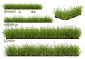 Green grass samples short medium long lengths lawn Royalty Free Stock Photo
