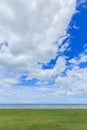 Green grass sea nature background clouds and sky
