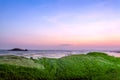 Green grass  sea nature background  sky landscape. Royalty Free Stock Photo