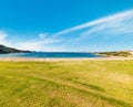 Green grass by the sea in Sardinia Royalty Free Stock Photo