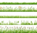 Green grass seamless pattern. Backyard plants, meadow or garden borders. Decorative lawn flowers, spring summer weeds Royalty Free Stock Photo