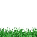 Green grass seamless pattern, Flat border of realistic grass Royalty Free Stock Photo