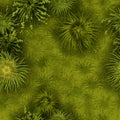 Green grass seamless pattern, vector field texture, nature game environment background. Royalty Free Stock Photo