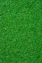 Green grass seamless texture Royalty Free Stock Photo