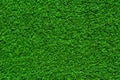 Green grass seamless texture. Royalty Free Stock Photo