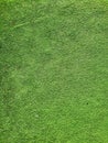 Green grass seamless texture. Green grass lawn texture background from top view for golf course turf with grassy pattern for Royalty Free Stock Photo