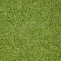 Green grass seamless texture. Seamless in only horizontal dimens Royalty Free Stock Photo