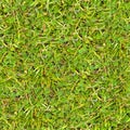Green Grass. Seamless Texture. Royalty Free Stock Photo