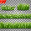 Green grass seemless borders and herbs elements isolated on Transparent background. Vector Illustration Royalty Free Stock Photo