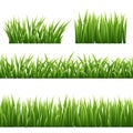 Green grass seemless borders and herbs elements isolated on white background. Vector Illustration