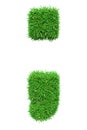 Green grass semicolon