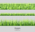 Green grass set collection isolated Vector realistic. Transparent backgrounds Royalty Free Stock Photo