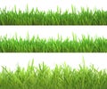 Green grass set. Nature background. Meadow. Spring, summer season. Plant growth 3d rendering. Royalty Free Stock Photo