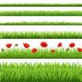 Green Grass Set With Red Poppy Royalty Free Stock Photo