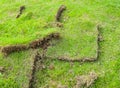 green grass sheet Royalty Free Stock Photo