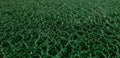 Green grass sintetic at home Royalty Free Stock Photo
