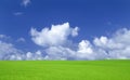 Green grass and sky with clouds.