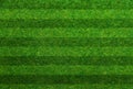 Green grass soccer field Royalty Free Stock Photo