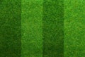 Green grass soccer field background Royalty Free Stock Photo