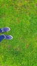 Green grass on a soccer field.