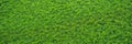 green grass soccer or golf field background BANNER, LONG FORMAT Royalty Free Stock Photo