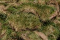 Green grass sod patches Royalty Free Stock Photo