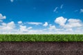 Green grass with soil on blue sky. Royalty Free Stock Photo