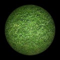 Green grass sphere black background