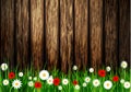 Green grass spring background