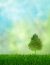 Green grass spring fantasy Royalty Free Stock Photo