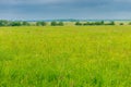 green grass in the spring field and heavy rain clouds Royalty Free Stock Photo