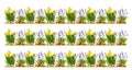 Green grass and spring flowers isolated on white background Royalty Free Stock Photo