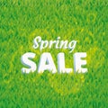 Green grass spring sale background