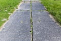 green grass sprouted through reinforced concrete slabs