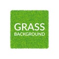 Green grass square background.