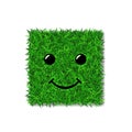 Green grass square field 3D. Face smile. Smiley grassy icon, isolated white background. Ecology concept. Smiling sign