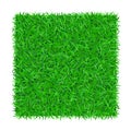 Green grass square isolated on white background 3D. Lawn greenery nature frame. Soccer field texture border. Ground